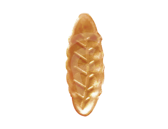 摩拉卡小葉 (焦糖)