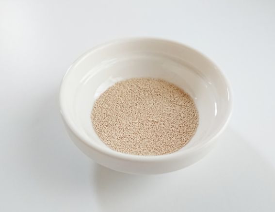 【ANGEL 安琪】冷凍半乾酵母