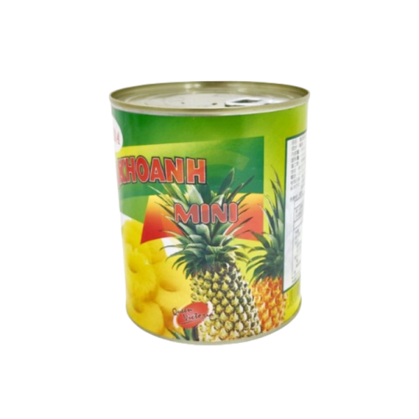 【FUDA富達】迷你鳳梨片(小圓片) 